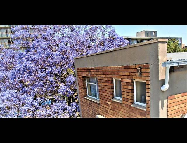 1 BEDROOM PROPERTY TO RENT IN SUNNYSIDE